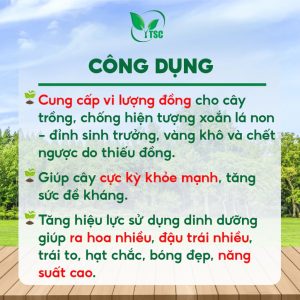 Phân Bón Đồng Đỏ Thụy Sỹ, Hạn Chế Mốc Rong Rêu, Vàng Lá, Xoắn Lá, Ngừa Nứt Thân, Xì Mủ - Chai 500ml