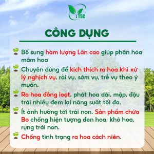 Phân Bón LÂN 96 Thụy Sỹ, Siêu Tạo Mầm Hoa, Kích Ra Hoa Đồng Loạt, Đậu Trái Nhiều, Vọt Hoa - Túi 1kg