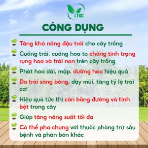 Phân bón BOWIN ĐẬM ĐẶC Thụy Sỹ, Dưỡng Mập Bông, Cuống Trái, Bông Khỏe, Hạn Chế Rụng Hoa Và Trái Non - Chai 500ml