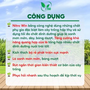 Phân bón Nitro Win Thụy Sỹ, Đâm Đọt Mạnh, Ra Chồi Nhanh, Siêu Đẻ Nhánh, Ra Rễ Mạnh - Chai 500ml