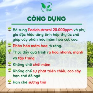 Phân Bón Paclo Thụy Sỹ 20VPS, Thúc Đẩy Ra Hoa Trái Vụ, Đồng Loạt, Phân Hóa Mầm Hoa Rõ Ràng - Túi 1kg