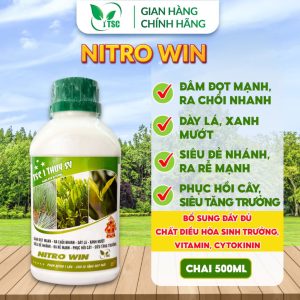 Phân bón Nitro Win Thụy Sỹ, Đâm Đọt Mạnh, Ra Chồi Nhanh, Siêu Đẻ Nhánh, Ra Rễ Mạnh - Chai 500ml