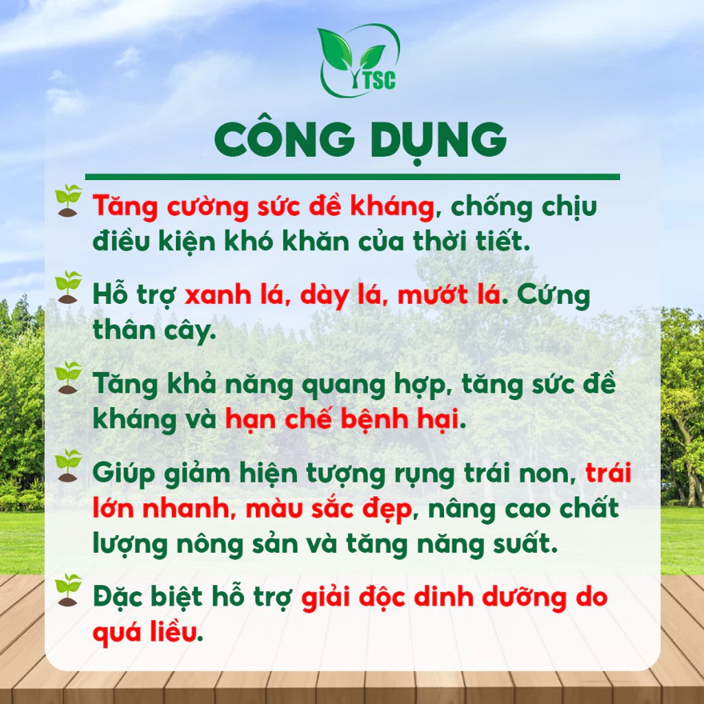 COMBI AMINO Rong Biển Tăng Sức Đề Kháng, Xanh Dày Lá, Hỗ Trợ Giải Độc Dinh Dưỡng Do Quá Liều Công dụng của Combi Amino Rong Biển Thụy Sỹ Xanh Lá, Dày Lá, Trái Xanh Gai Bóng Đẹp