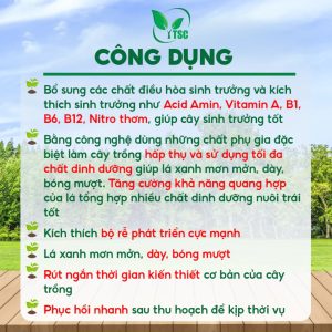 Phân Bón 33-11-11 Thụy Sỹ, Xanh Lá, Bật Chồi Nhanh, Ra Rễ Mạnh, Phục Hồi Nhanh Sau Thu Hoạch-Hộp 1kg