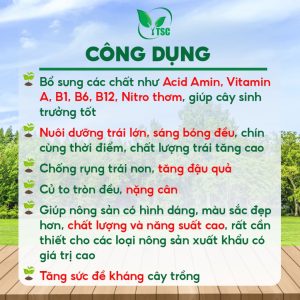 Phân Bón 6-30-30 Thụy Sỹ, Siêu Phì Trái, Hạn Chế Rụng Trái, Đẹp Trái, Sáng Bóng Trái - Hộp 1kg