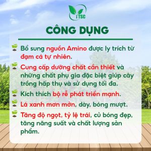 Phân Bón Amino Thụy Sỹ Root, Ly Trích Từ Đạm Cá Tự Nhiên, Kích Thích Bộ Rễ Phát Triển - Chai 1 lít