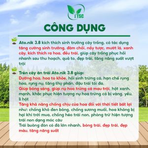 Phân bón ATONIK 3.8 Thụy Sỹ, Nhụy Trứng Cá Xanh, Trội Hột, Dưỡng Hoa, Bóng Trái, Đẹp Trái - Chai 250ml