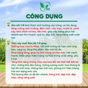 Phân bón ATONIK XOÀI 3.8 Thụy Sỹ, Trội Hột, Dưỡng Hoa, Trái Buông Đòn Lớn Nhanh, Bóng Trái, Đẹp Trái - Chai 250ml