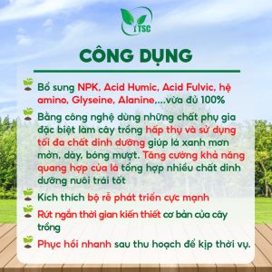 Phân Bón Can ROOT 2 Thụy Sỹ Ra Rễ Cực Mạnh, Ngừa Nghẹn, Đen, Thối Rễ, Tái Sinh Rễ, Xanh Cây, Tốt Lá - Can 5 lít