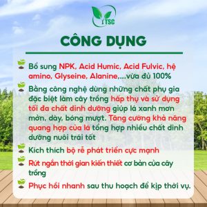 Phân Bón Can Siêu Lớn Trái Mít Thụy Sỹ, Giúp Trái Sáng Đẹp, To Trái, Nặng Ký, Ngọt Múi, Cơm Dày - Can 5 lít