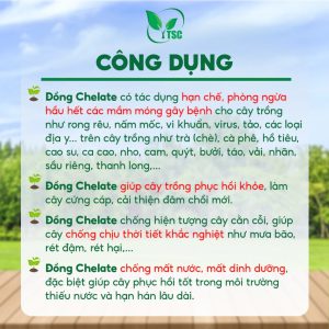 Phân bón Đồng Achilles TSC Thụy Sỹ Hạn Chế Nứt Thân Xì Mủ, Vàng Lá, Thối Rễ, Tăng Đề Kháng Cho Cây Khỏe - Túi 1kg