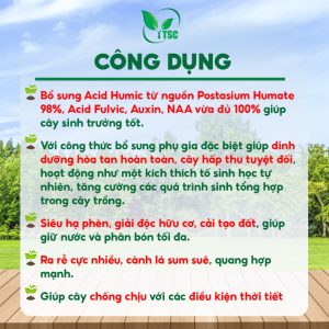 Phân Bón Humic Đạm Cá Amino Thụy Sỹ, Bộ Rễ Phát Triển Cực Mạnh, Nhú Đọt Nhanh, Dày Lá - Bao 10kg