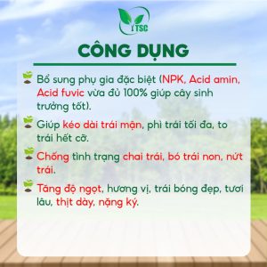 Phân Bón Kéo Trái Thụy Sỹ, Trái Lớn Nhanh, To Trái Hết Cỡ, Trái Chắc Nặng Ký, Đẹp Màu - Chai 100ml