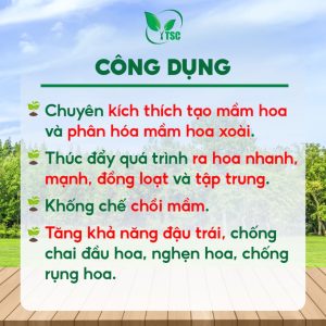 Phân Bón Kích Bông Xoài Thụy Sỹ, Kích Ra Hoa Nhiều, Liên Tục, Hạn Chế Chai Hoa, Nghẹn Hoa - Túi 1kg