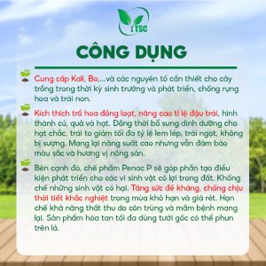 Phân bón KN3-BO Thụy Sỹ, Chống Rụng Hoa Và Trái Non, Tăng Tỉ Lệ Đậu Trái, Tăng Sức Đề Kháng Cho Cây - Hộp 1kg