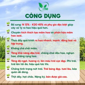 Phân bón KN3 Super Bồ Đề Thụy Sỹ, Xử Lý Ra Hoa, Trái Lớn Tối Đa, Tăng Độ Ngọt, Lên Màu Cực Đep - Túi 2kg