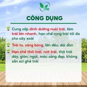 Phân bón Lớn Trái Xoài Thụy Sỹ, Kéo Trái, Phì Trái, To Trái Hết Cỡ, Nặng Ký, Đẹp Màu - Chai 1 lít