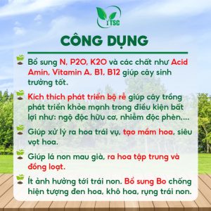 Phân bón MKP 0-52-34 Thụy Sỹ Giúp Lá Non Mau Thành Thục, Chặn Đọt, Cứng Cây, Tạo Mầm Hoa, Chống Rụng Trái Non - Hộp 1kg