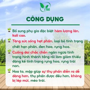 Phân Bón Rước Mắt Cua Sầu Riêng Thụy Sỹ, Kích Mắt Cua Nứt Mạnh, Kéo Bông Mạnh, Ra Hoa Đồng Loạt - Chai 500ml
