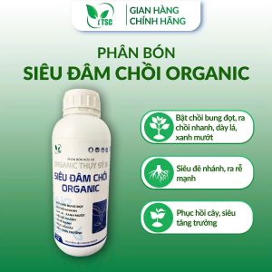 Phân Bón Siêu Đâm Chồi Thụy Sỹ Bật Chồi Bung Đọt, Ra Chồi Nhanh, Dày Lá Xanh Mướt, Siêu Đẻ Nhánh - Chai 1 lít