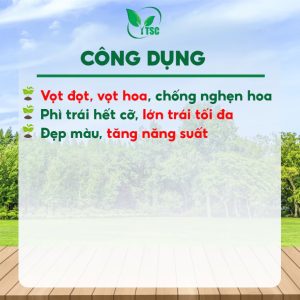 Sủi GA3 500T Thụy Sỹ, Phì Trái Hết Cỡ, Lớn Trái Tối Đa, Tăng Hương Vị, Đẹp Màu - Viên 7gr
