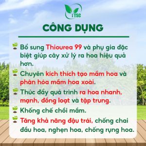 Phân bón THIOUREA 99 TSC Kích Thích Ra Hoa Nhiều, Mập Hoa, Ra Hoa Liên Tục, Chống Rụng Hoa, Trái Non - Túi 1kg