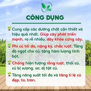 Phân Bón To Củ Thụy Sỹ, Phì Củ Tối Đa, Tăng Độ Ngọt, To Tròn, Nặng Ký, Tăng Tinh Bột - Chai 1 lít
