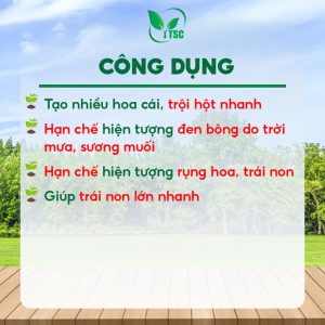 Phân Bón Trội Hột Xanh Nụ Thụy Sỹ, Chuyên Lấy Nhụy, Cho Nhiều Hoa Cái, Thụ Phấn Tốt, Không Khô Đen Bông - Chai 1 lít