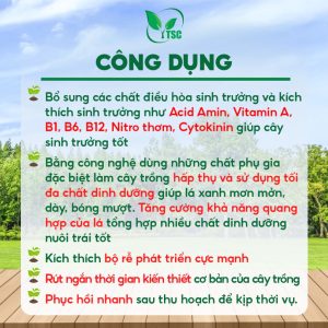 Phân Bón Vọt Đọt Sầu Riêng Thụy Sỹ, Đâm Đọt Mạnh, Ra Đọt Trên Cây Già, Ra Chồi Nhanh, Mập Đọt - Chai 500ml