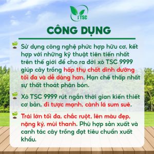 Xô Siêu Lớn Trái TSC 9999 Thụy Sỹ, Thúc Trái Lớn Nhanh, Chắc Ruột, Nặng Ký, Ra Rễ Nhanh, Cải Tạo Đất - Xô 20kg