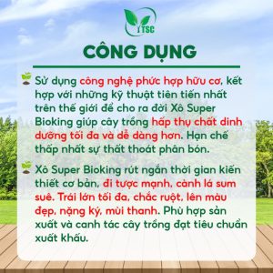 XÔ BIOKING TSC Thụy Sỹ Siêu Ra Rễ, Nhú Đọt Mạnh, Dày Lá, Xanh Lá, Trái Lớn Cực Nhanh, Tăng Năng Suất – Xô 20kg
