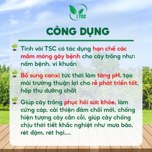 cong dung phan bon tinh voi thuy sy han che thoi dot thoi re vang la tang suc de khang cho cay trong