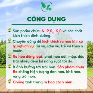 Phân Bón 10-60-10+TE RA HOA Thụy Sỹ Kích Ra Hoa Đồng Loạt, Phát Hoa Dài, Đậu Trái Nhiều, Hạn Chế Đen Khô Hoa - Hộp 1kg