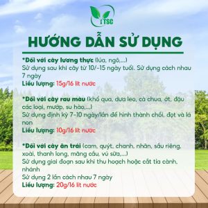 Phân Bón 33-11-11 Thụy Sỹ, Xanh Lá, Bật Chồi Nhanh, Ra Rễ Mạnh, Phục Hồi Nhanh Sau Thu Hoạch-Hộp 1kg