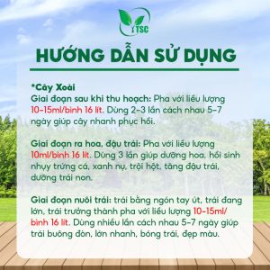 Phân bón ATONIK XOÀI 3.8 Thụy Sỹ, Trội Hột, Dưỡng Hoa, Trái Buông Đòn Lớn Nhanh, Bóng Trái, Đẹp Trái - Chai 250ml