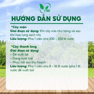 SỦI GA3 1000T Thụy Sỹ, Phì Trái Hết Cỡ, Lớn Trái Tối Đa, Nặng Ký, Dài Tai, Không Lem Trái - Viên 7gr