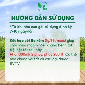 Phân Bón Trội Hột Xanh Nụ Thụy Sỹ, Chuyên Lấy Nhụy, Cho Nhiều Hoa Cái, Thụ Phấn Tốt, Không Khô Đen Bông - Chai 1 lít