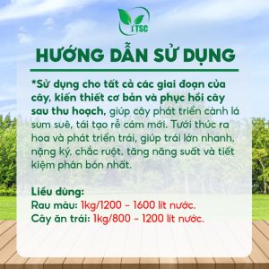 Xô Siêu Lớn Trái TSC 9999 Thụy Sỹ, Thúc Trái Lớn Nhanh, Chắc Ruột, Nặng Ký, Ra Rễ Nhanh, Cải Tạo Đất - Xô 20kg