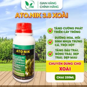 Phân bón ATONIK XOÀI 3.8 Thụy Sỹ, Trội Hột, Dưỡng Hoa, Trái Buông Đòn Lớn Nhanh, Bóng Trái, Đẹp Trái - Chai 250ml