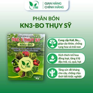Phân bón KN3 Bo Thụy Sỹ - Hộp 1kg Phân bón KN3-BO Thụy Sỹ, Chống Rụng Hoa Và Trái Non, Tăng Tỉ Lệ Đậu Trái, Tăng Sức Đề Kháng Cho Cây - Hộp 1kg