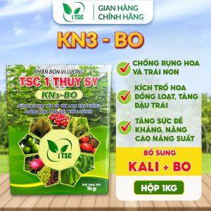 Phân bón KN3-BO Thụy Sỹ, Chống Rụng Hoa Và Trái Non, Tăng Tỉ Lệ Đậu Trái, Tăng Sức Đề Kháng Cho Cây - Hộp 1kg