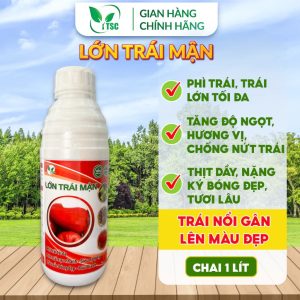Phân Bón Lớn Trái Mận Thụy Sỹ, Phì Trái Tối Đa, Siêu Nặng Ký, Trái Bóng Đẹp, Mùi Thanh - Chai 1 lít