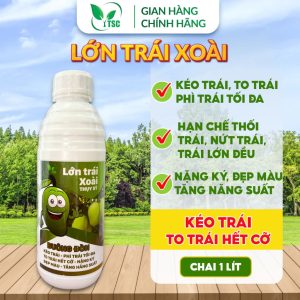 Phân bón Lớn Trái Xoài Thụy Sỹ, Kéo Trái, Phì Trái, To Trái Hết Cỡ, Nặng Ký, Đẹp Màu - Chai 1 lít