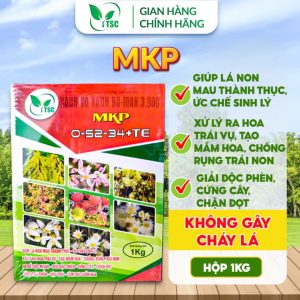 Phân bón MKP 0-52-34 Thụy Sỹ Giúp Lá Non Mau Thành Thục, Chặn Đọt, Cứng Cây, Tạo Mầm Hoa, Chống Rụng Trái Non - Hộp 1kg
