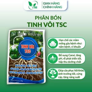 phan bon tinh voi thuy sy han che thoi dot thoi re vang la tang suc de khang cho cay trong