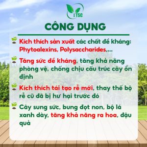 Phân Bón TK-389 Thuỵ Sỹ PHỤC HỒI, TÁI SINH RỄ, Ngừa Thối Rễ, Phục Hồi Cây Suy Yếu, Hạn Chế Vàng Lá - Chai 1 lít