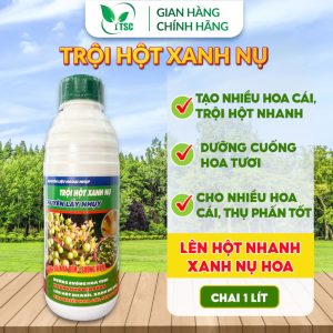 Phân Bón Trội Hột Xanh Nụ Thụy Sỹ, Chuyên Lấy Nhụy, Cho Nhiều Hoa Cái, Thụ Phấn Tốt, Không Khô Đen Bông - Chai 1 lít