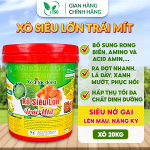 Phân Bón Xô Siêu Lớn Trái Mít Thụy Sỹ, Nuôi Trái Cực Lớn, Mít Loại 1, Trái Mít Tròn Đều Đẹp - Xô 20kg