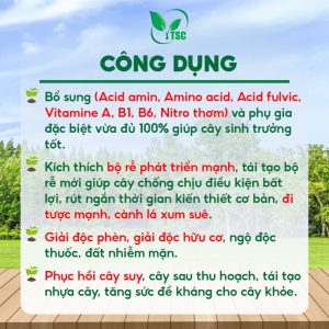 Công dụng của Xô Sâm Đất Thụy Sỹ Kích Ra Rễ Cực Mạnh, Hạ Phèn, Giải Độc Tố Trong Đất, Lớn Trái, Đẹp Màu