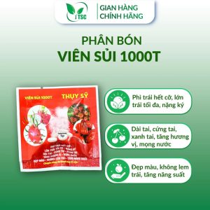 SỦI GA3 1000T Thụy Sỹ, Phì Trái Hết Cỡ, Lớn Trái Tối Đa, Nặng Ký, Dài Tai, Không Lem Trái - Viên 7gr